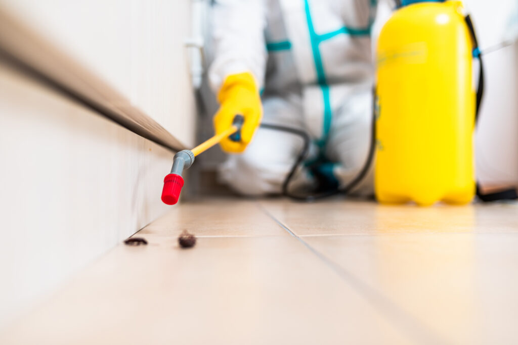Hercules Cockroach Experts