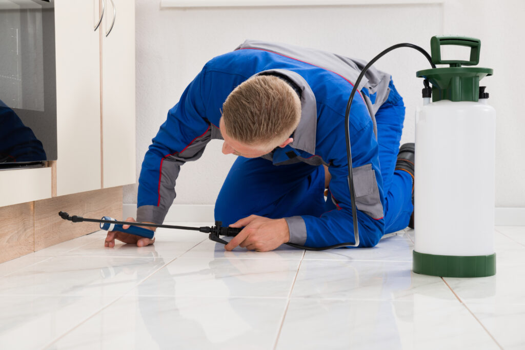 Hercules Ant Control Xperts