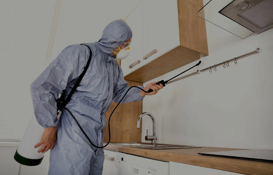 Hercules pest managment